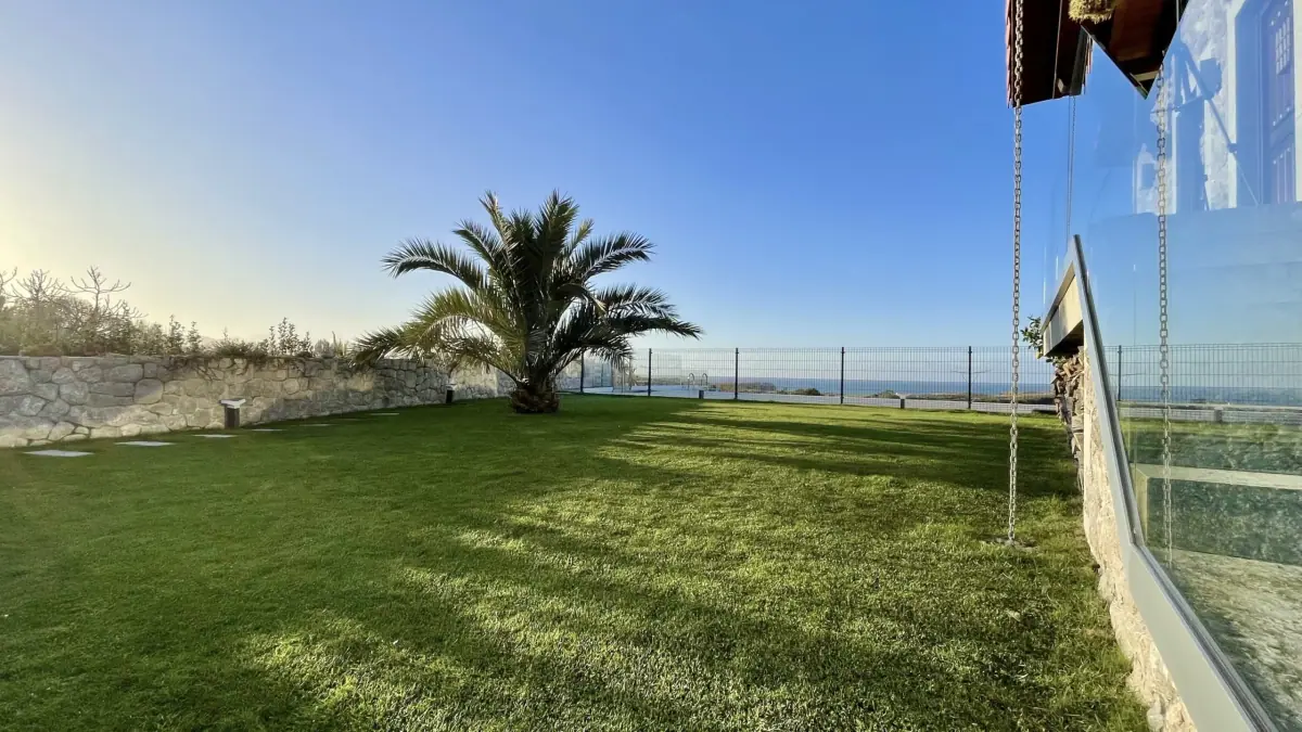 Garden lawn and palm tree, with the sea beyond