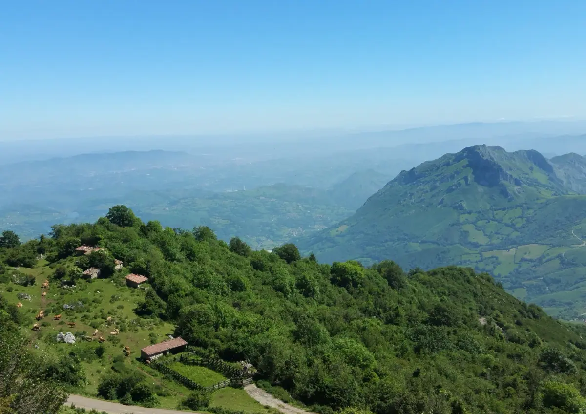 Green hills with the sea in the distance