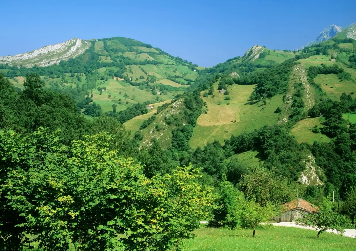 Green hills of inland Asturias