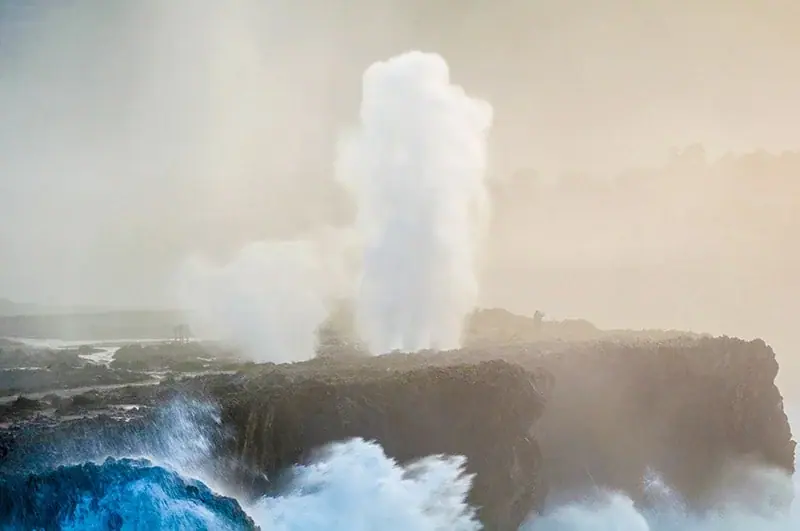 A blowhole's jet in the sea mist