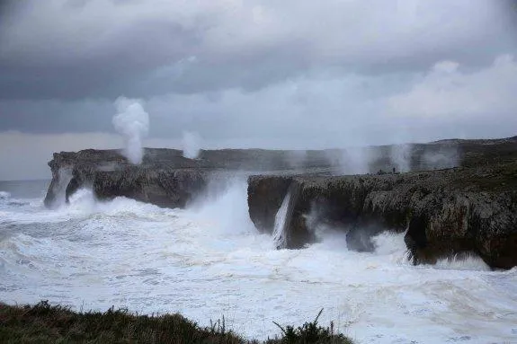 bufones de pria con tormenta y lluvia